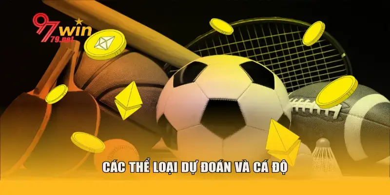 Giải thích các loại hình dự đoán ăn tiền trong cá độ
